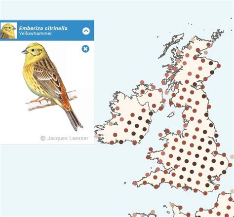 Bird Atlas Maps For All Of Europe Now Online Birdwatch Ireland