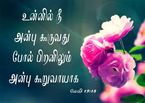 This page contains a list of tamil words and expressions as well as other lessons in grammar topics and common expressions in tamil. Tamil Bible Words