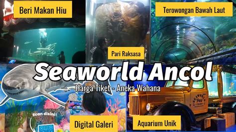Review Seaworld Ancol 2022 Harga Tiket Wahana Menarik Di Seaworld