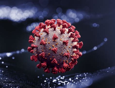 A new coronavirus variant, lambda, has emerged. Coronavirus: How concerning is the South African variant?