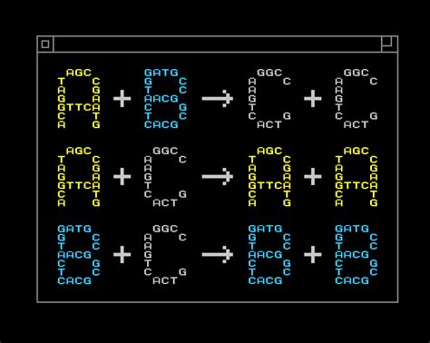 New programming language directs DNA to build custom-designed molecules ...