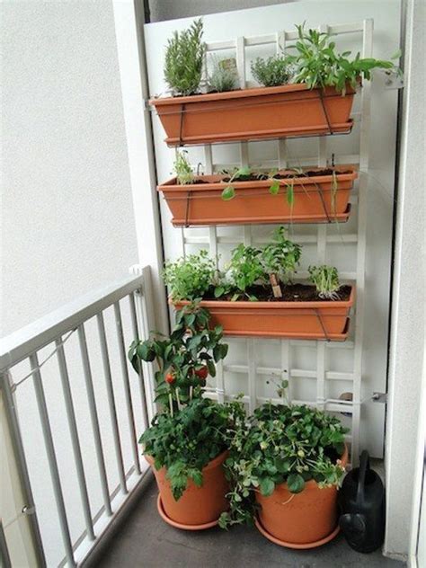 Tips for growing chive on your balcony #homeideas #balconyideas #balconydesign #patioideas ...