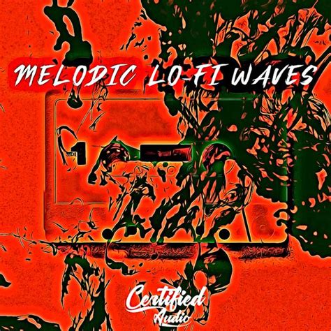 Certified Audio Llc Melodic Lo Fi Waves Royalty Free Samples R Loops