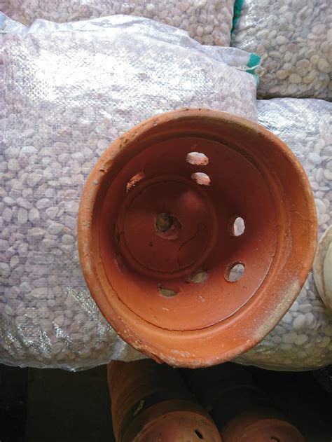 Mulai dari bunga mawar, bunga anggrek, bunga krisan, bunga carnation, dan masih banyak bunga lainnya. Jual POT TANAH LIAT ANGGREK di lapak Kios bunga dahlia ...