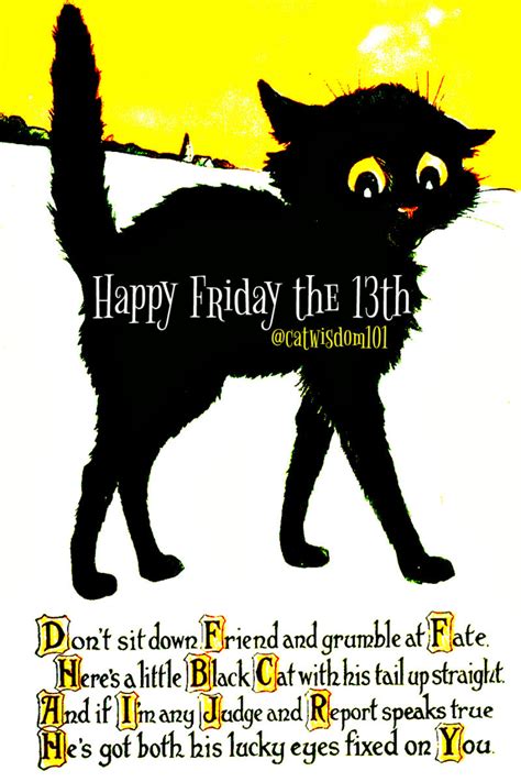 Happy Friday The 13th Cat