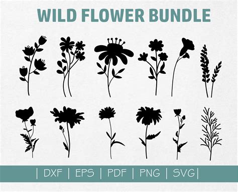 Wildflower Silhouette Bundle Svg Wildflower Hand Drawn Svg Etsy
