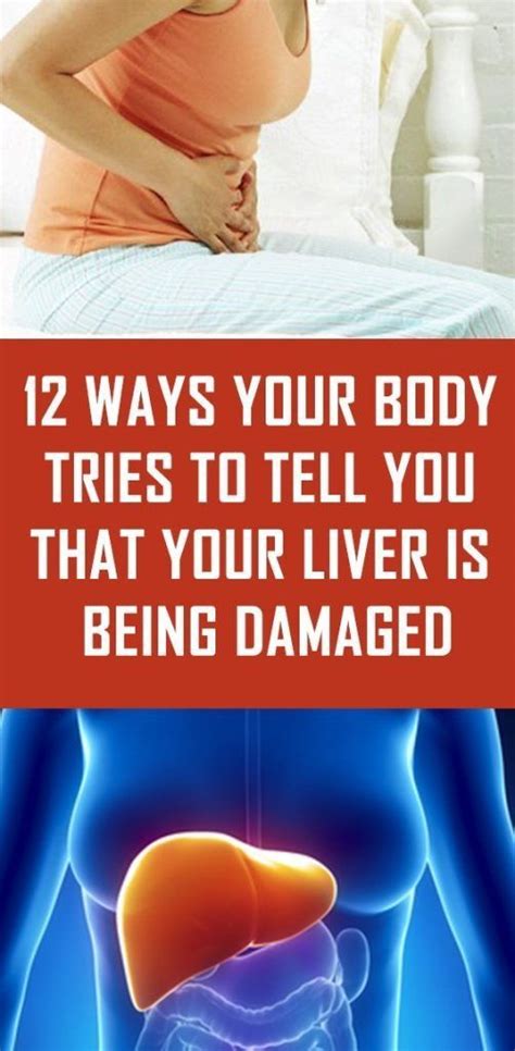 Liver Location Pain These 6 Warning Signs Show That Your Liver Is