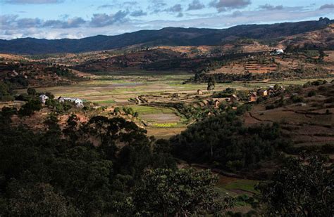 Sustainable Agriculture In Madagascar Has A Worldwide Impact