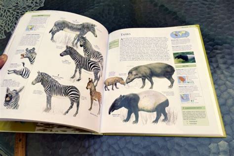 The Encyclopedia Of Animals A Complete Visual Guide Ebay