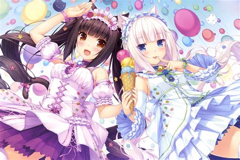 Anime Neko Girl Wallpapers Top Free Anime Neko Girl Backgrounds Wallpaperaccess