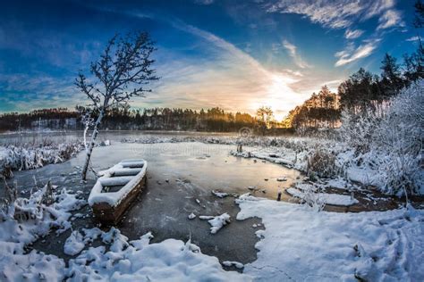 First Snow At Sunrise In Winter Stock Photo Image Of Calm Crystal