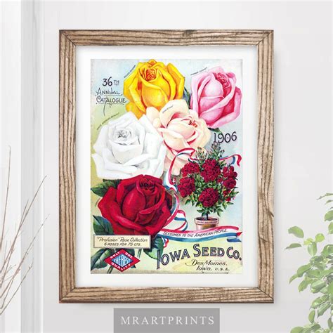 Vintage Flowers Art Print Poster Roses Rose Floral Nature Etsy