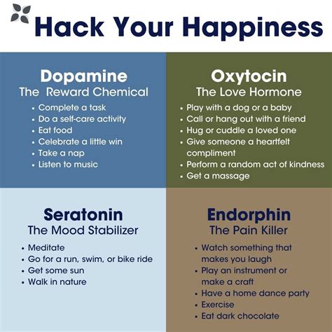 Hack Your Happiness — Equilibrium