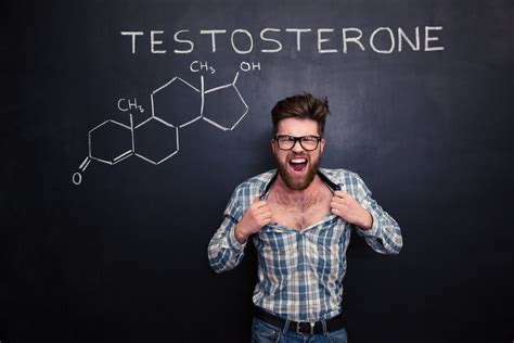 Testosterone More Than A Sex Drive Enhancer An Optimal You
