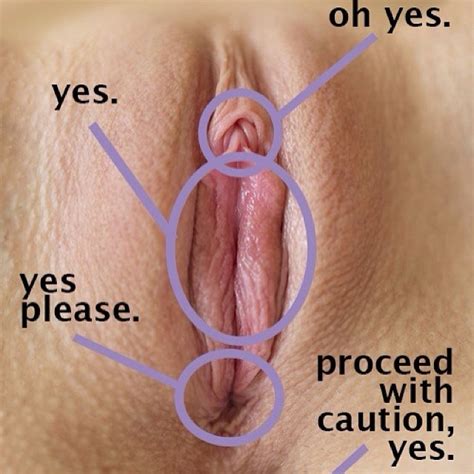 Throat Anatomy Vector Illustration Diagram Educational Medical Scheme The Best Porn Website