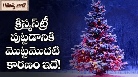 Interesting Facts About Christmas Tree Rahasyavaani Youtube