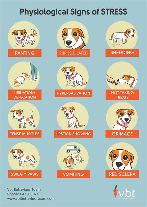 Stress Signs In Dogs Dog Training Tips Pinterest Dog And Pet Safe