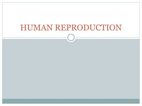 Ppt Human Reproduction Powerpoint Presentation Free Download Id5275908