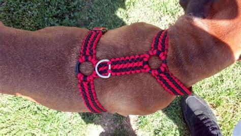 The Paracord Blog Paracord A Dogs Best Friend