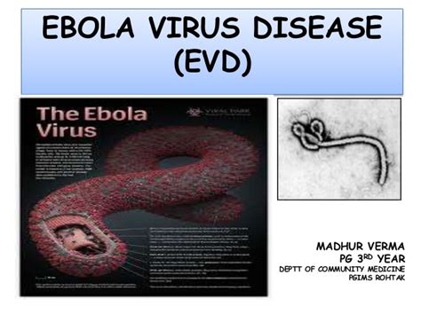 Ebola, also known as ebola virus disease (evd) or ebola hemorrhagic fever (ehf), is a viral hemorrhagic fever in humans and other primates, caused by ebolaviruses. Ebola virus disease
