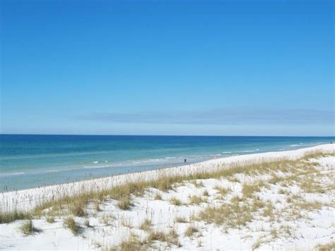8 Fabulous Beaches In Tallahassee That You Must See On Your Trip
