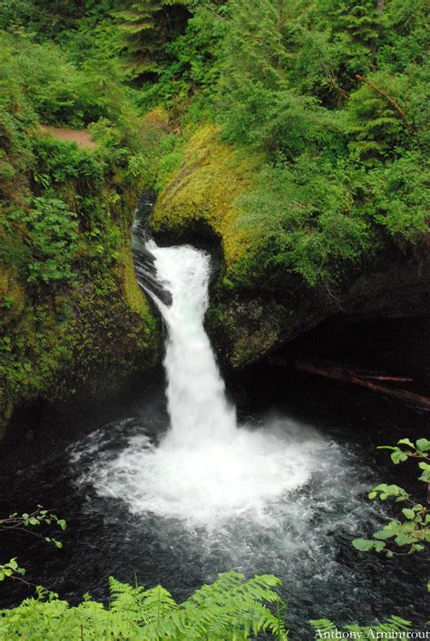 Punchbowl Falls Or Punchbowl Falls Eagle Creek Trial Sys A
