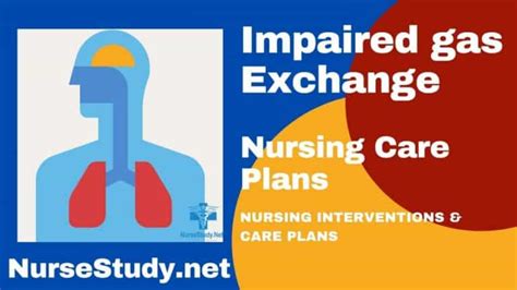 Impaired Gas Exchange Nursing Diagnosis And Nursing Care Plans