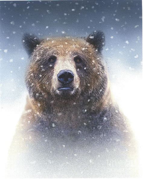 Snow Bear Painting By Robert Foster