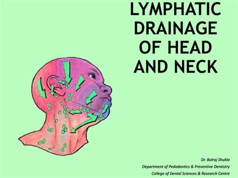 Lymphatic Drainage Of Head And Neck Ppt