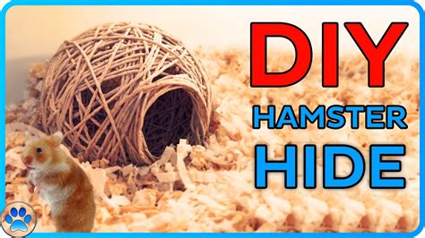 Diy Hamster String Hide Diy Hamster House Diy Hamster Toys Youtube