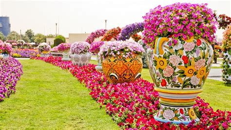 This Is The 8th Wonder Of The World Unique Garden In Dubai Will