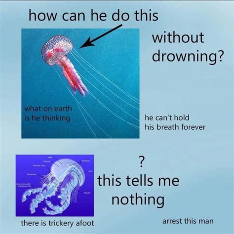 Jellyfish Rule 196