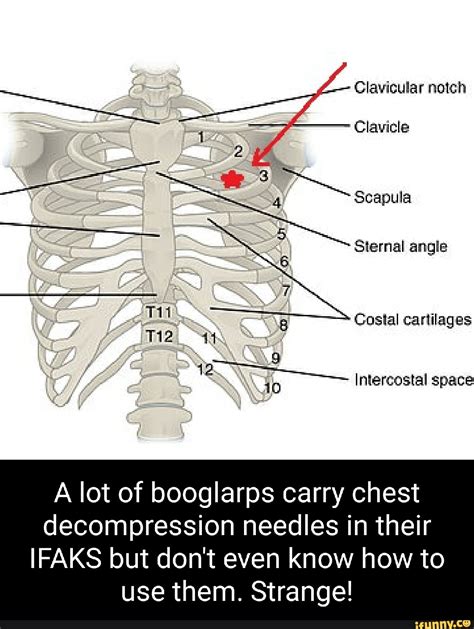 Clavicular Memes Best Collection Of Funny Clavicular Pictures On Ifunny