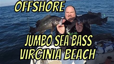 Jumbo Sea Bass Feb 8 2020 Part 1 Youtube