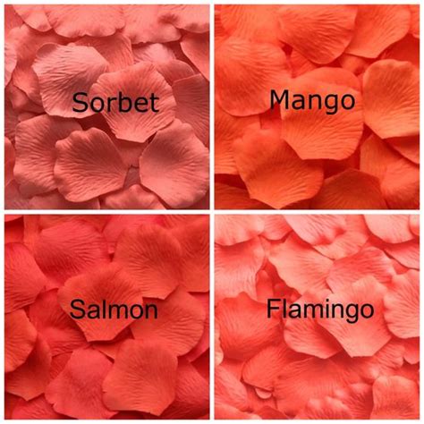 √ 31+ Macam Macam Warna Orange yang Wajib Kamu Tahu!