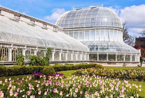 Botanic Gardens Belfast Parking Stuff To Do 2023 Guide