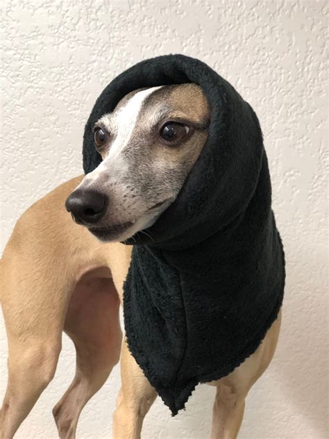 Snood Reversible Hat For Italian Greyhounds In Double Layer Etsy