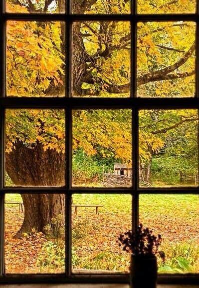 Autumn Through A Window Scenery Through The Window Beautiful Fall