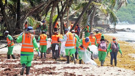Cepep Takes Coastline Clean Up To La Brea Trinidad And Tobago Newsday