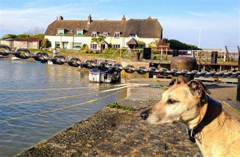 Whitby Dog Friendly | Best Holiday In North Yorkshire | Whitby, Dog