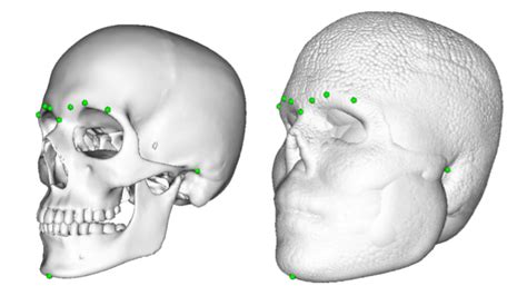 Method For Automatic Forensic Facial Reconstruction