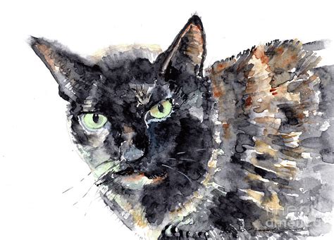 Tortie Cat Painting By Claudia Hafner Fine Art America