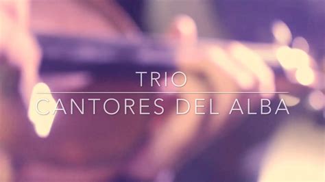 Trio Cantores Del Alba Feliz Año Nuevo La Bruja De La Huasteca
