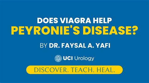 Does Viagra Help Peyronie S Disease By Dr Faysal A Yafi UCI Department Of Urology YouTube