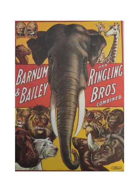 1973, ringling bros, barnum & bailey circus, monkey music, old post card. Pin on Baby Hunter!
