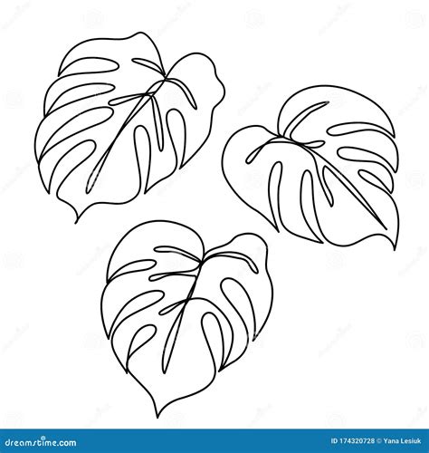 Continuous Line Monstera Leaf Tropical Leaves Contour Drawing Stock