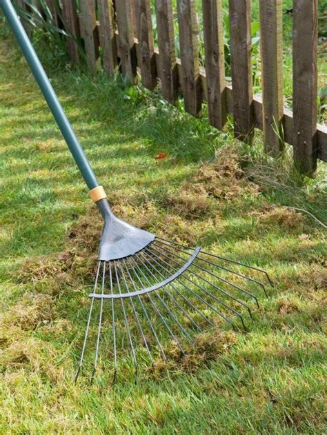 If you have a small lawn, all you need to do is get a leaf rake and rake out that thatch by hand. Using Garden Dethatching Rake | Lawn care tips, Lawn care, Green lawn