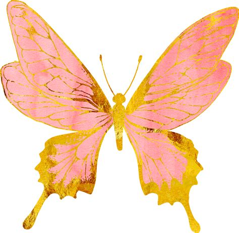 Rose Gold Butterfly Png Photo Png Mart