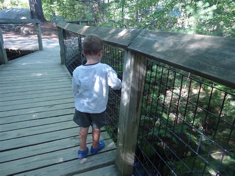 Squam Lakes Natural Science Center Pitstops For Kids