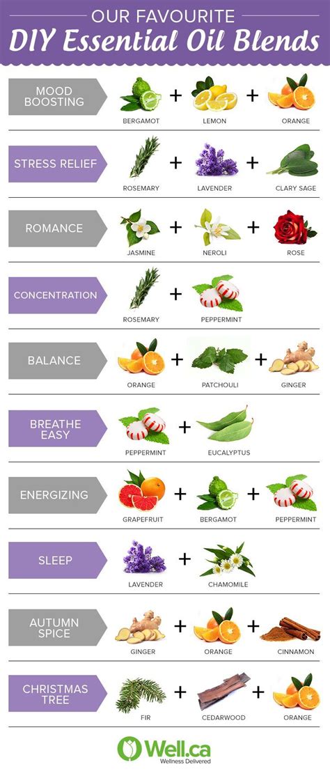 the 5 best essential oils for a diffuser you must have dōterra eo s essential oils